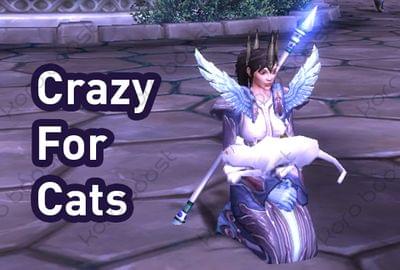 Crazy for cats