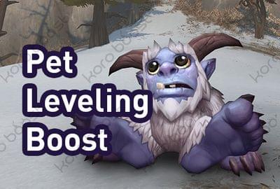 Pet Leveling
