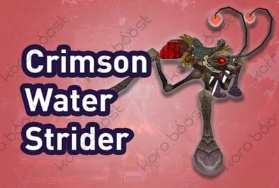 Crimson Water Strider
