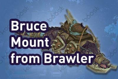 Bruce Mount from Brawler Guild Boost (Battle for Azeroth)