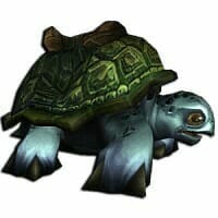 Sea Turtle