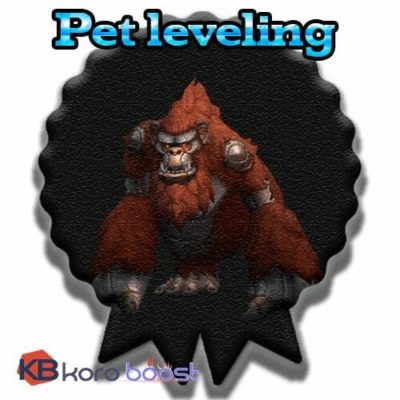 Pet Leveling