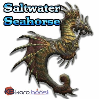 Saltwater Seahorse Mount