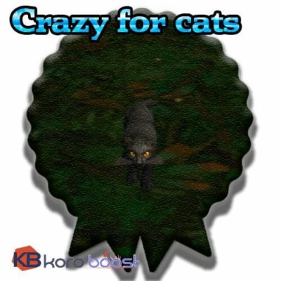 Crazy for cats