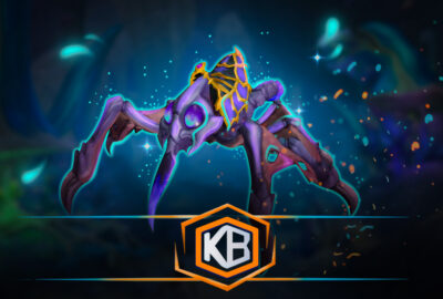 WoW Shadowed Swarmite Boost